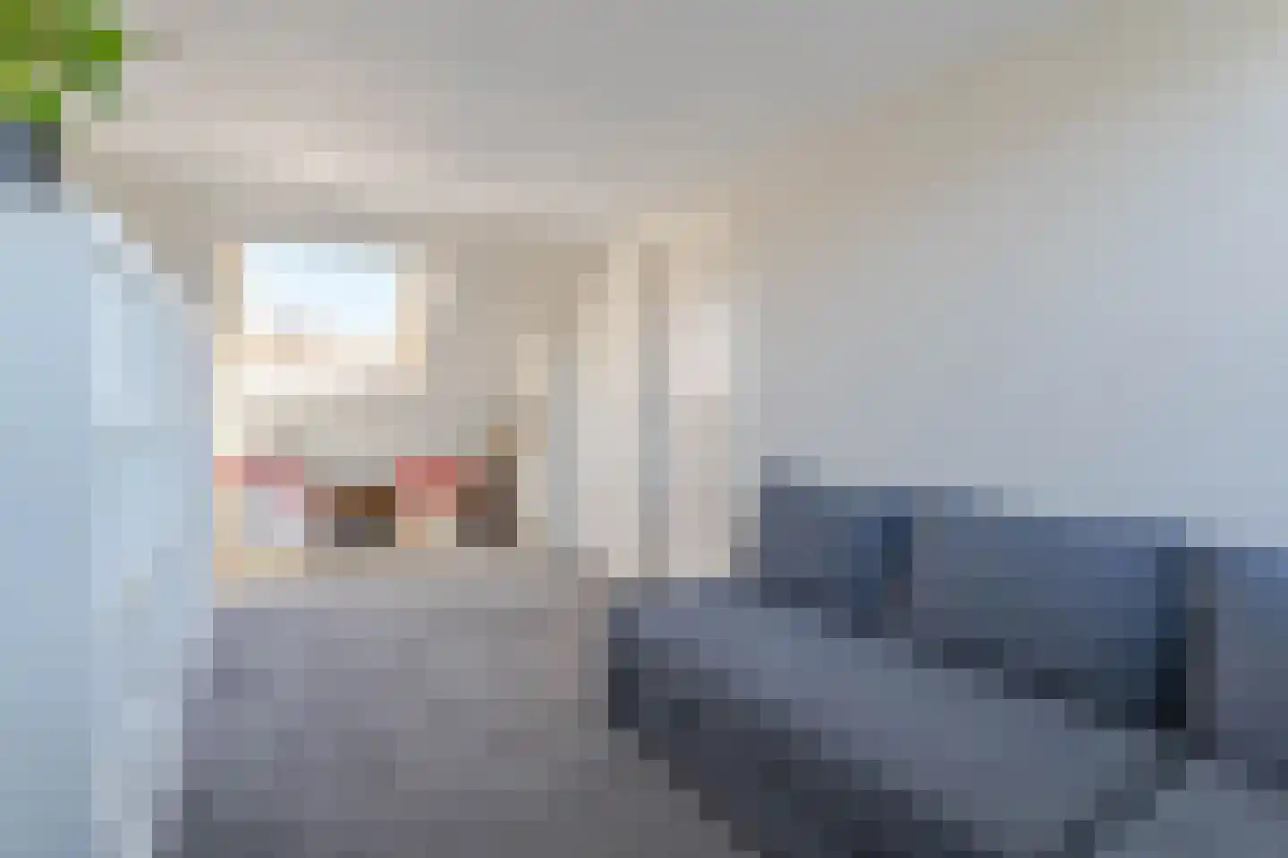 Zonnedauw 98 Boskoop thumbnail 28