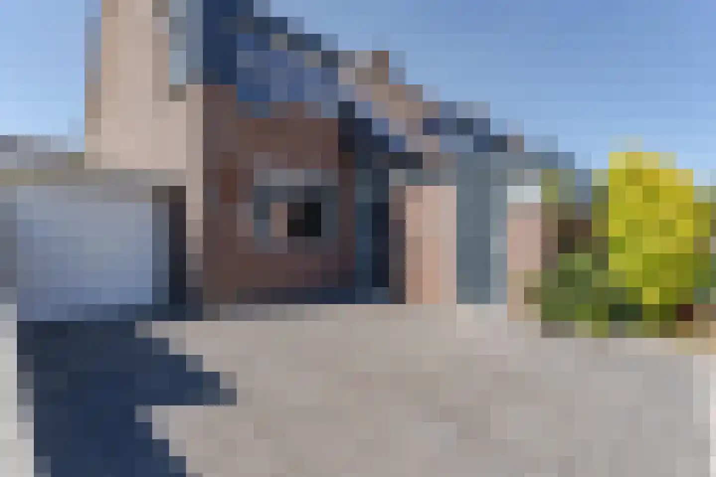 Zonnedauw 98 Boskoop thumbnail 29