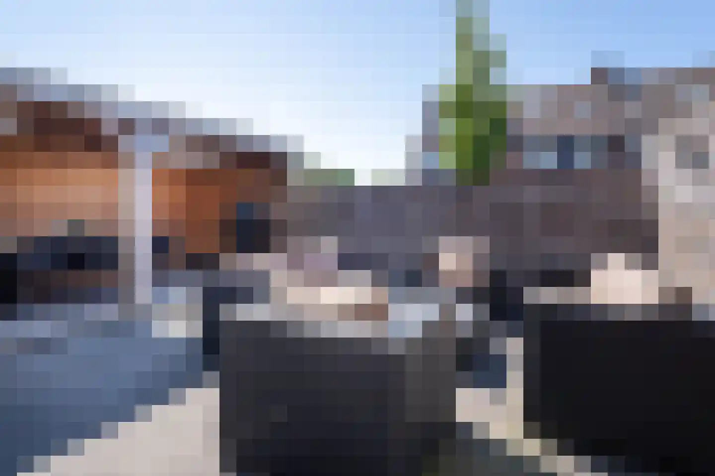 Zonnedauw 98 Boskoop thumbnail 6