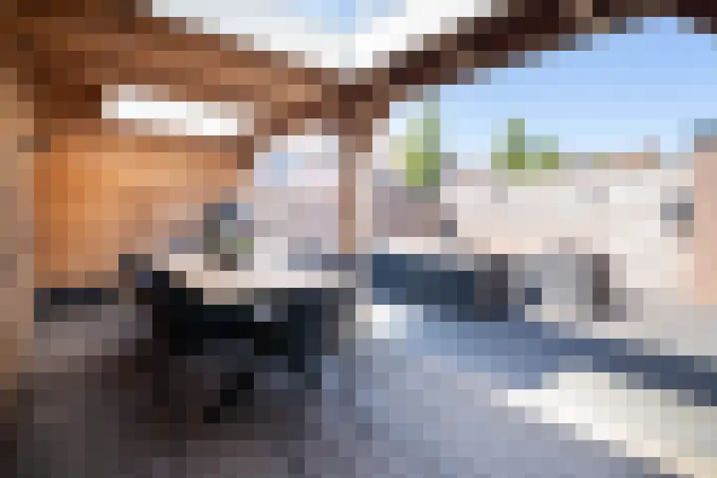 Zonnedauw 98 Boskoop thumbnail 7