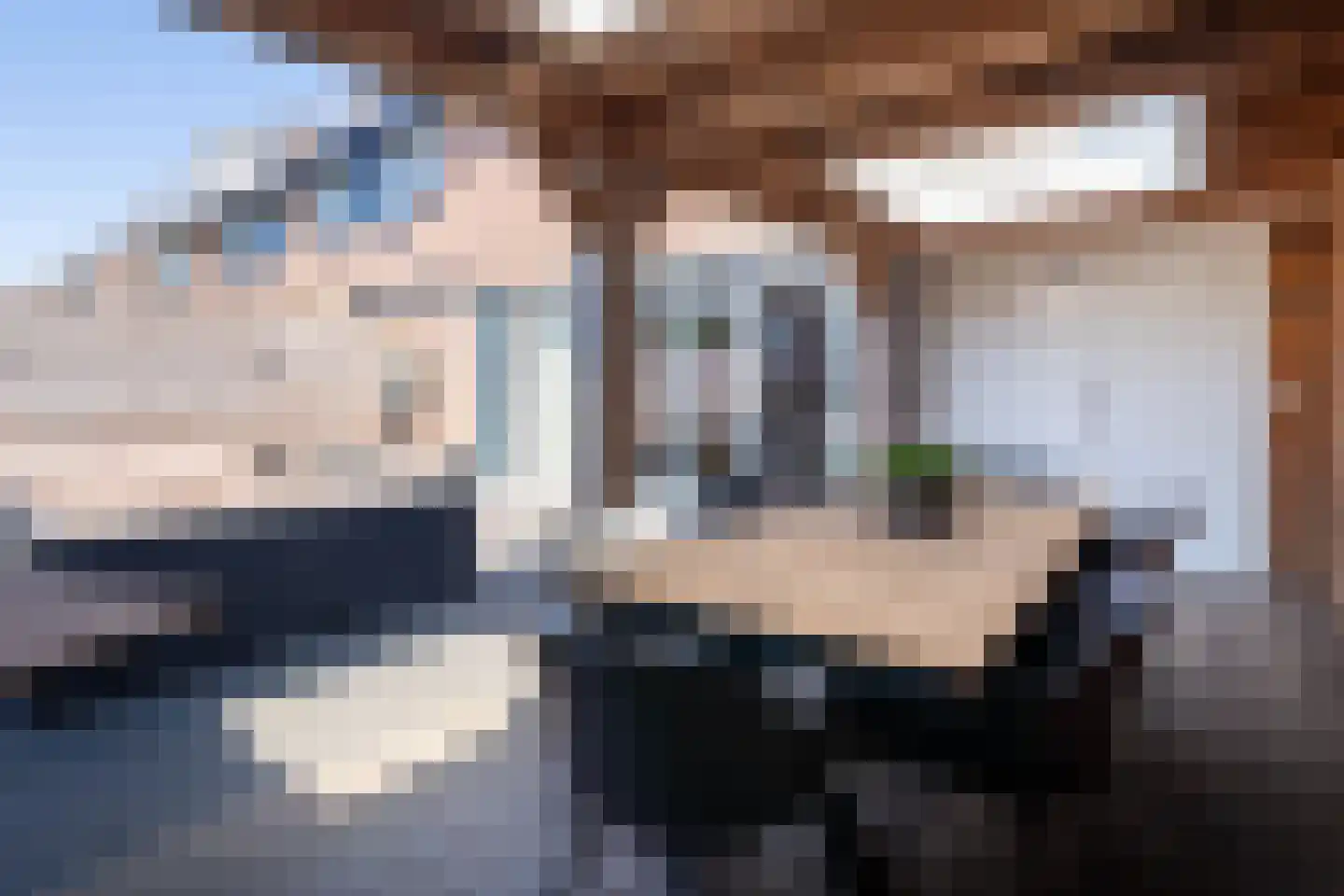 Zonnedauw 98 Boskoop thumbnail 8
