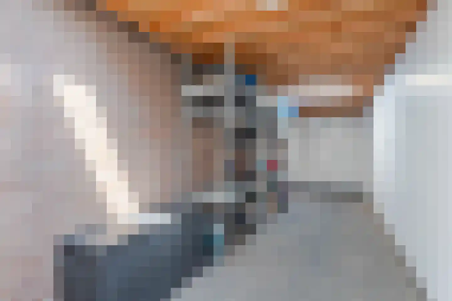 Zonnedauw 98 Boskoop thumbnail 9