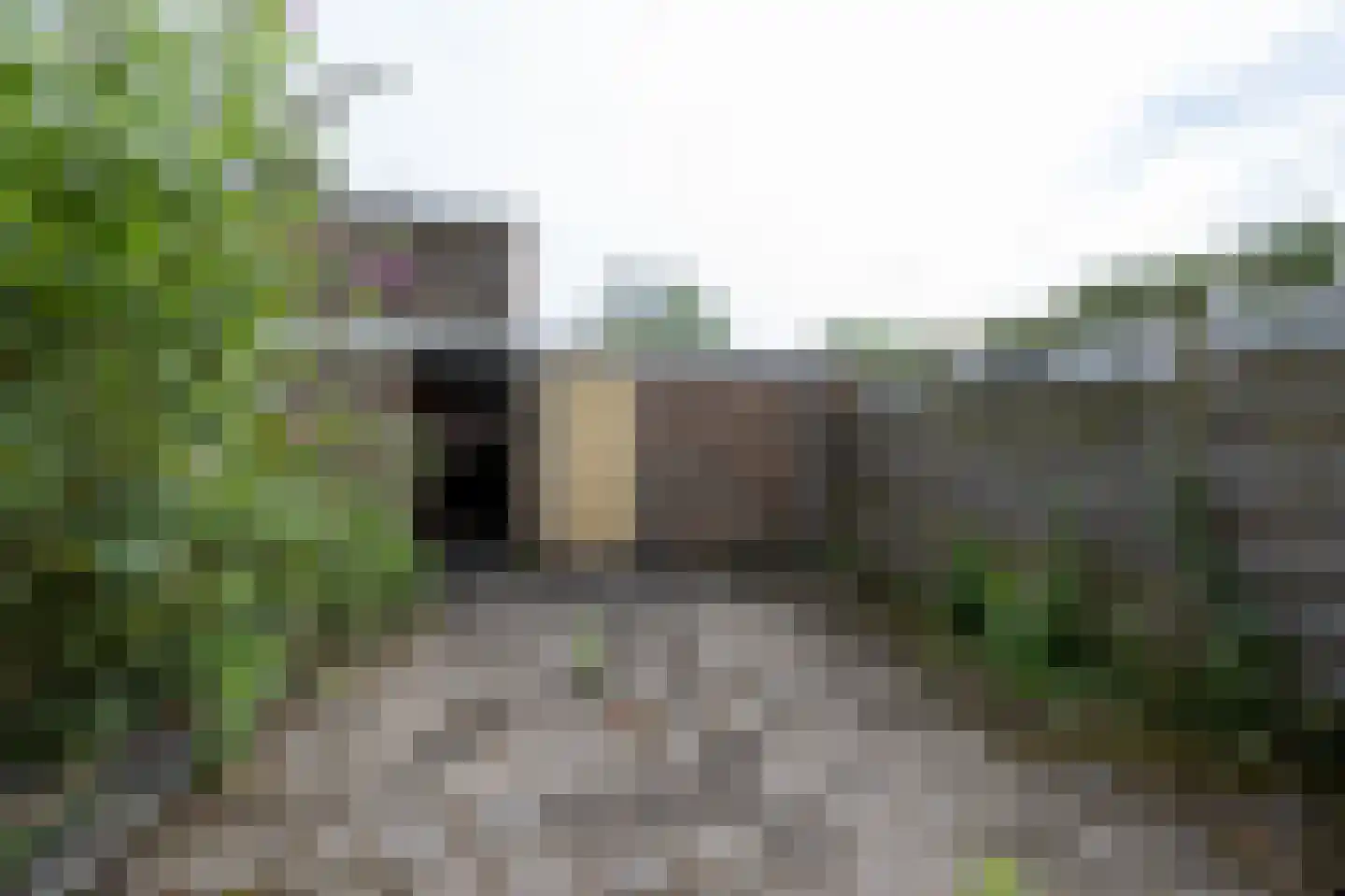 Zonnedauwhoek 4 Zaandam thumbnail 14