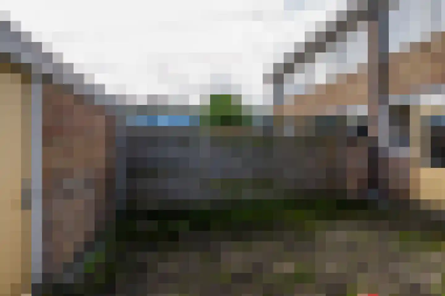 Zonnedauwhoek 4 Zaandam thumbnail 19