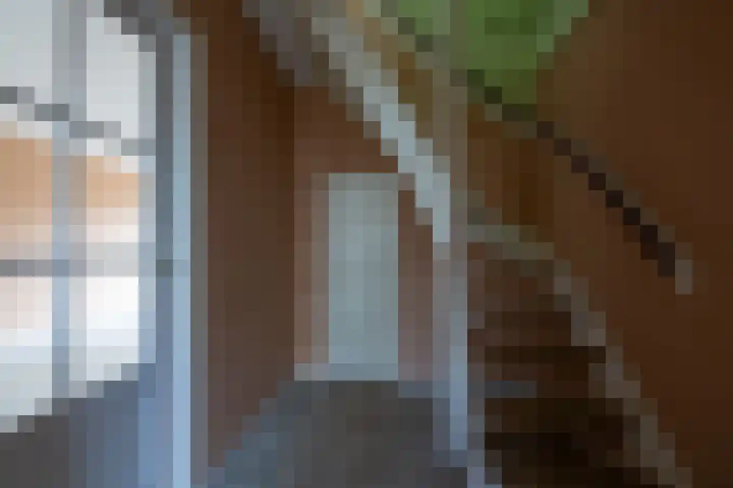 Zonnedauwhoek 4 Zaandam thumbnail 22