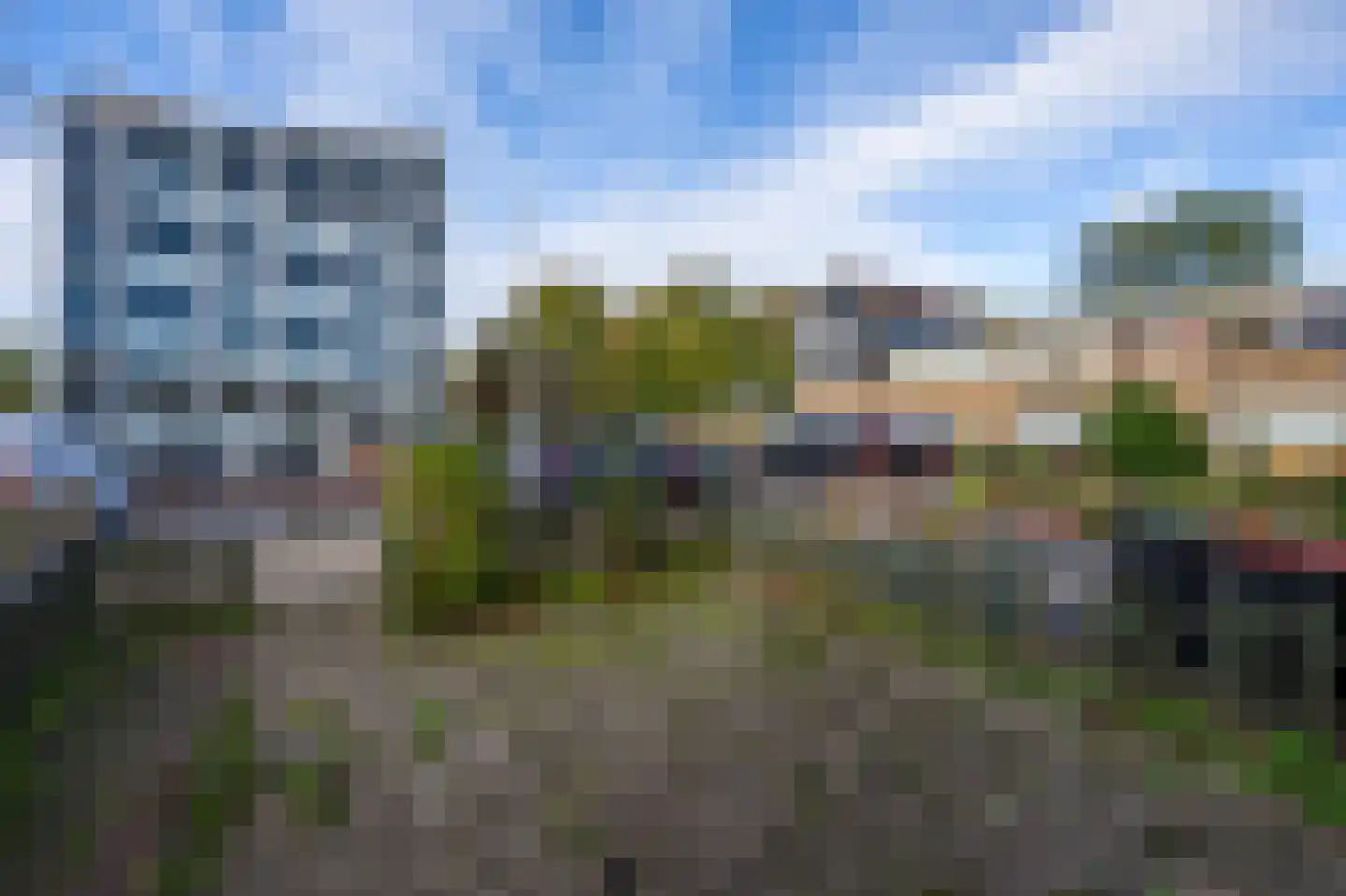 Zonnedauwhoek 4 Zaandam thumbnail 4