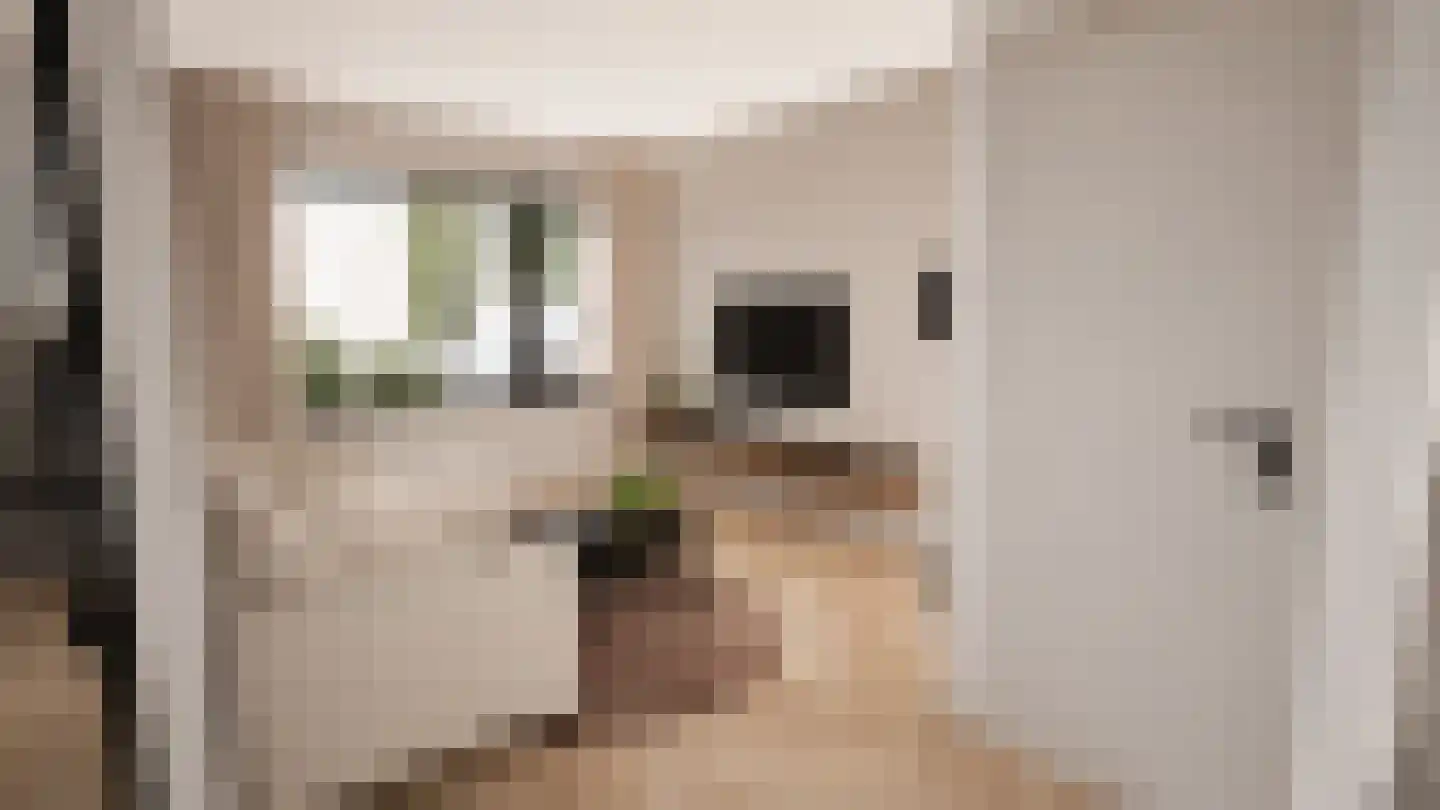 Zonnedauwhof 1 Roermond thumbnail 10