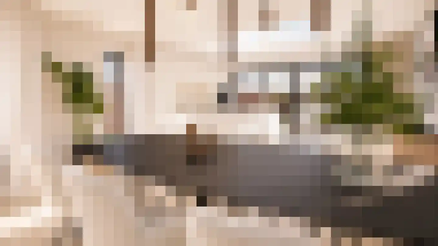 Zonnedauwhof 1 Roermond thumbnail 12
