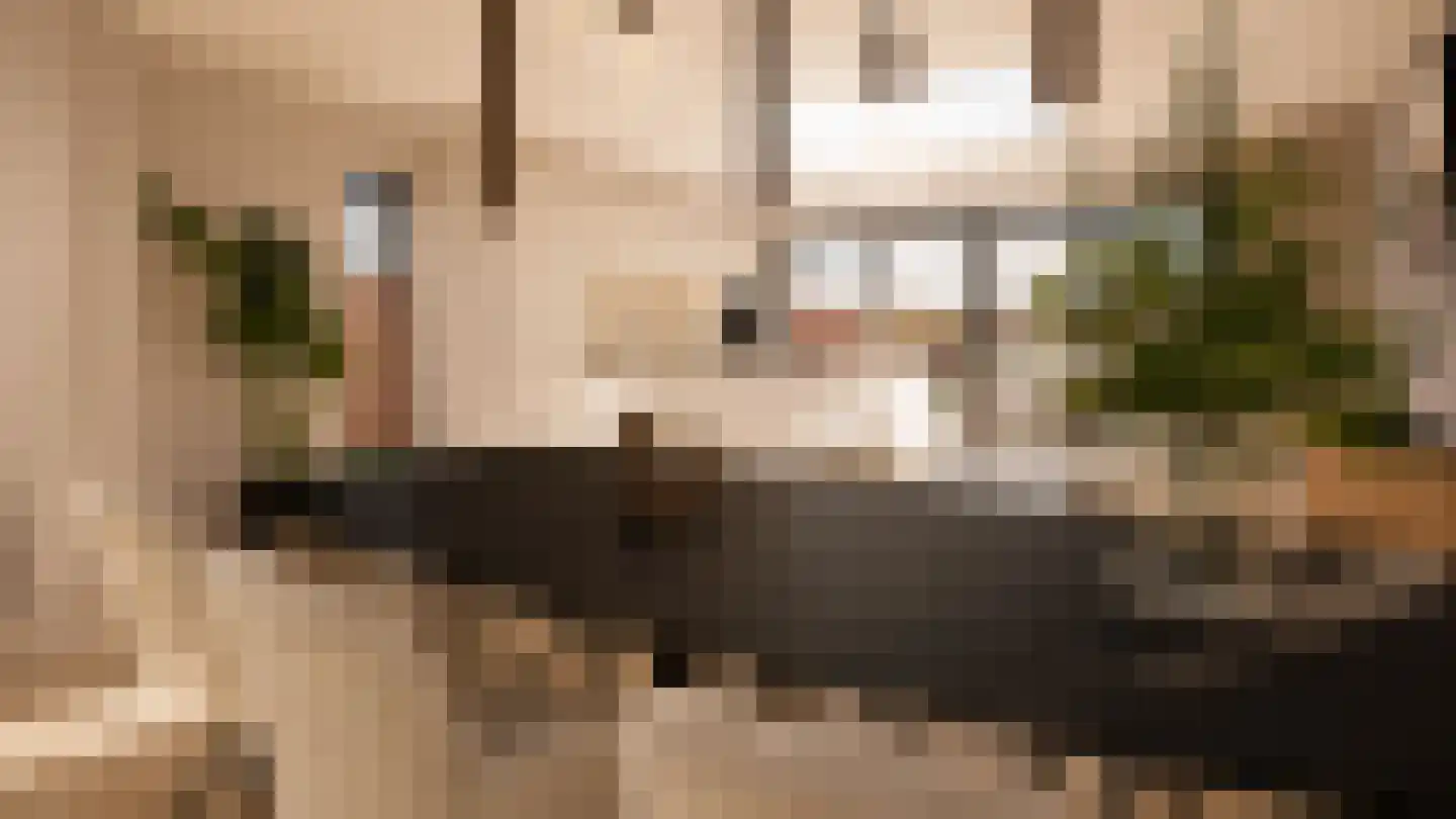 Zonnedauwhof 1 Roermond thumbnail 13