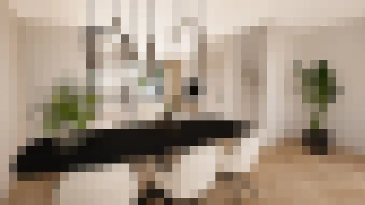 Zonnedauwhof 1 Roermond thumbnail 14