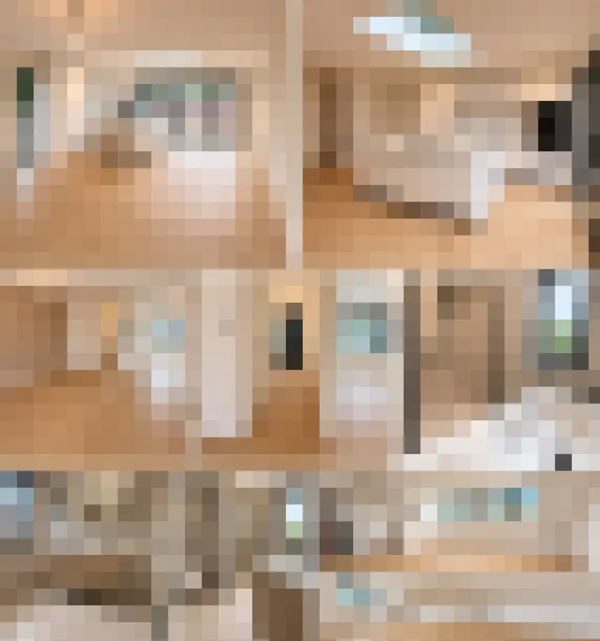 Zonnedauwhof 1 Roermond thumbnail 19