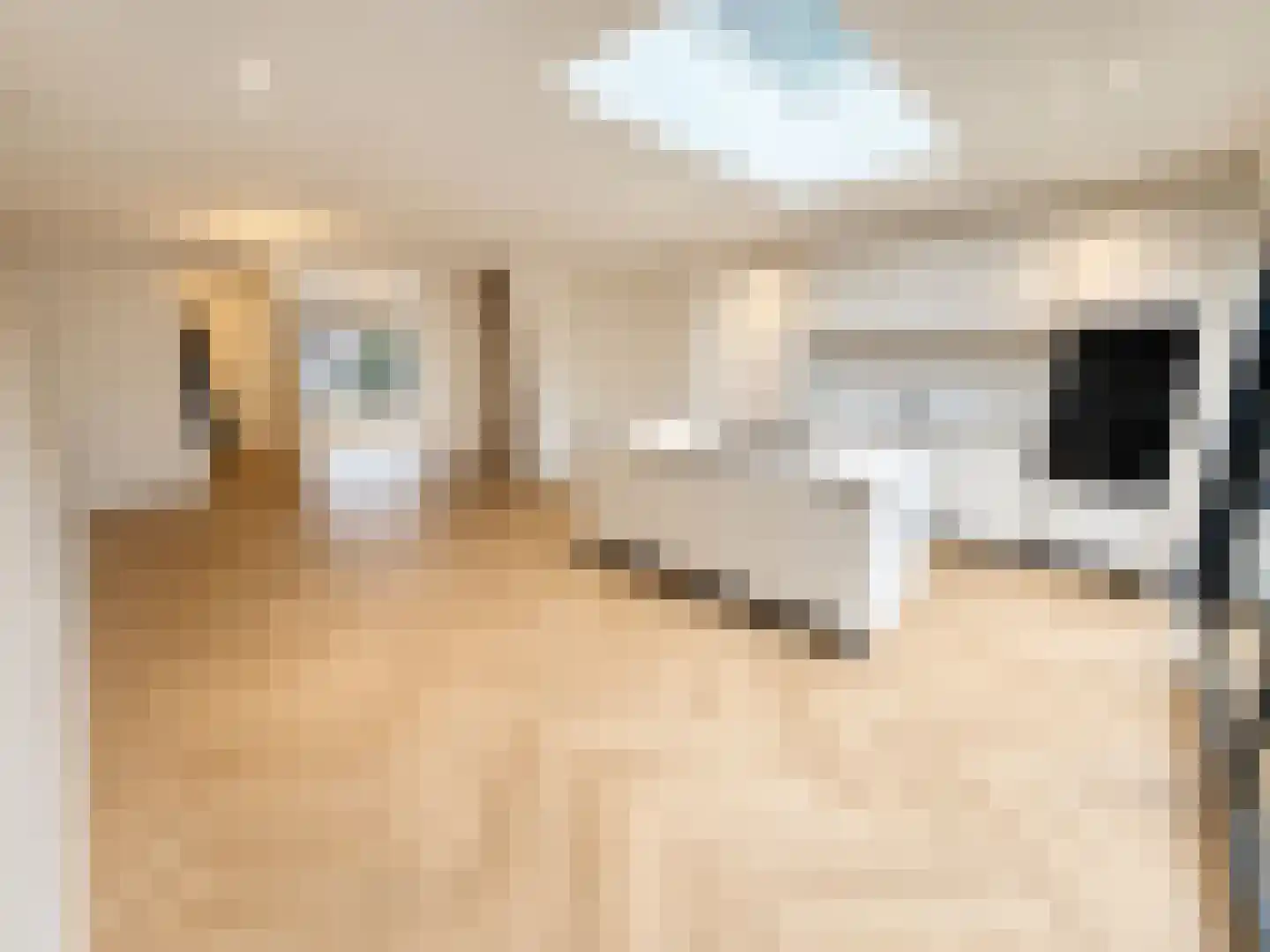 Zonnedauwhof 1 Roermond thumbnail 20