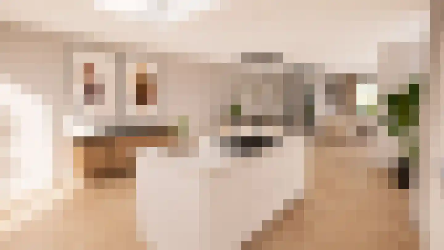 Zonnedauwhof 1 Roermond thumbnail 25