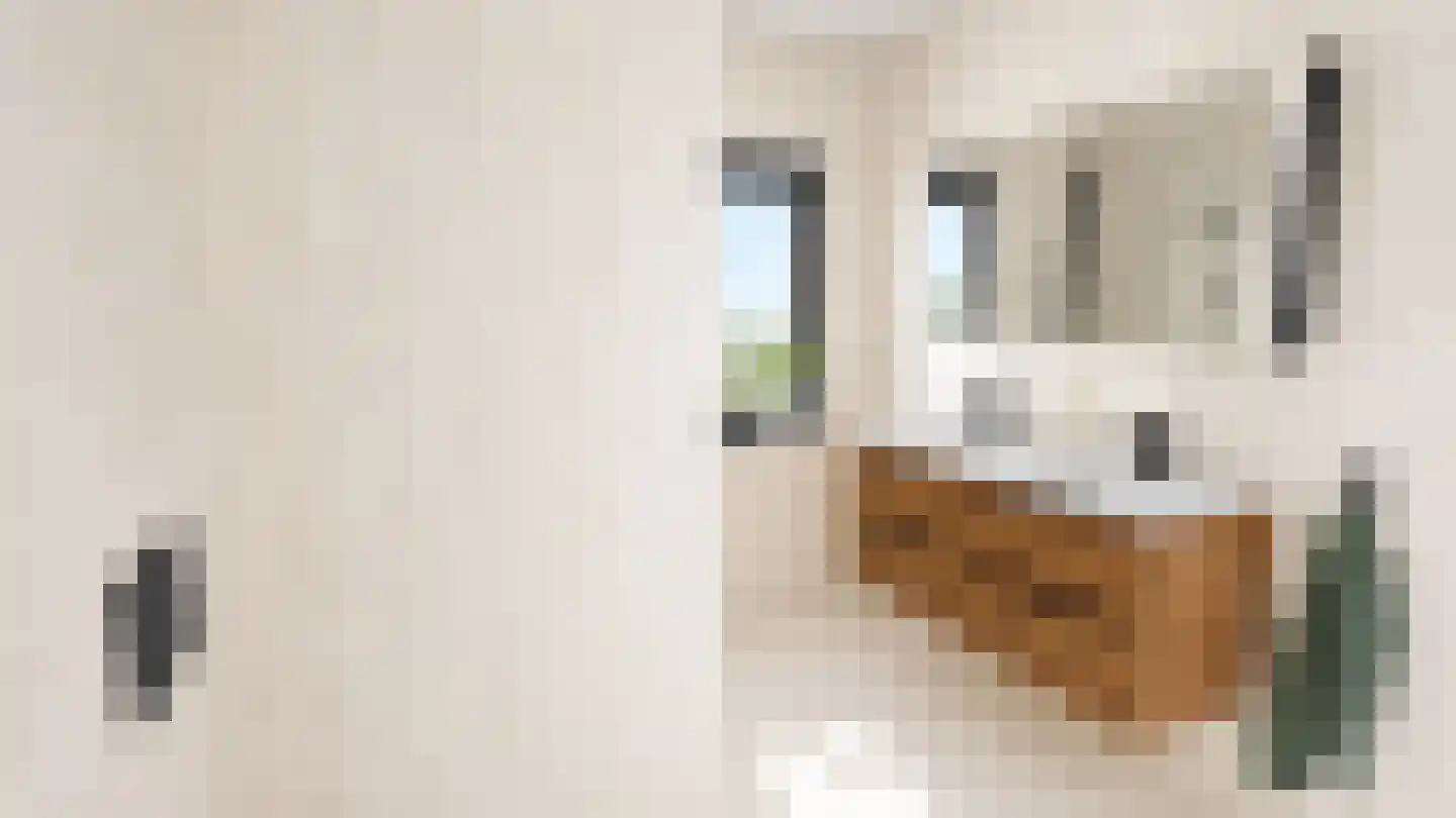 Zonnedauwhof 1 Roermond thumbnail 28