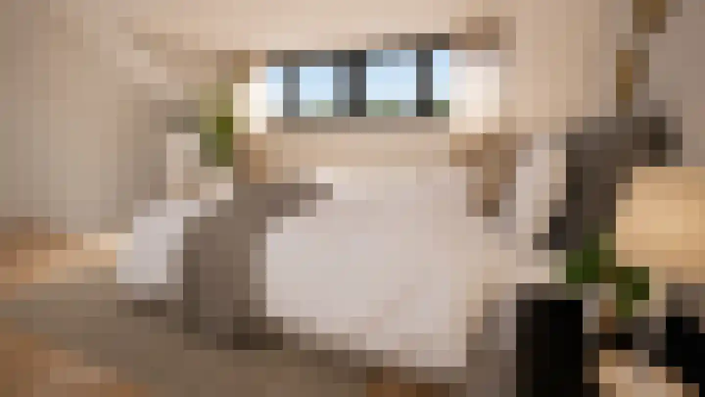Zonnedauwhof 1 Roermond thumbnail 31