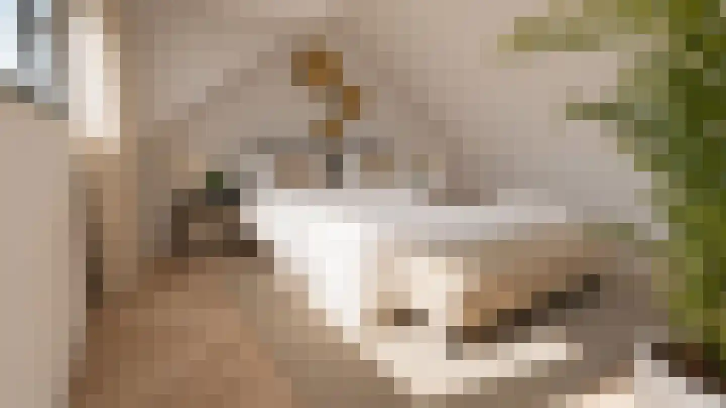 Zonnedauwhof 1 Roermond thumbnail 32