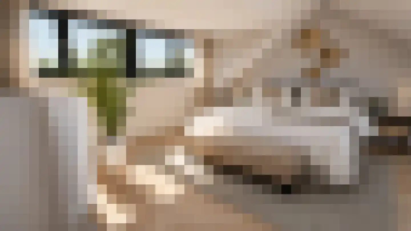 Zonnedauwhof 1 Roermond thumbnail 4