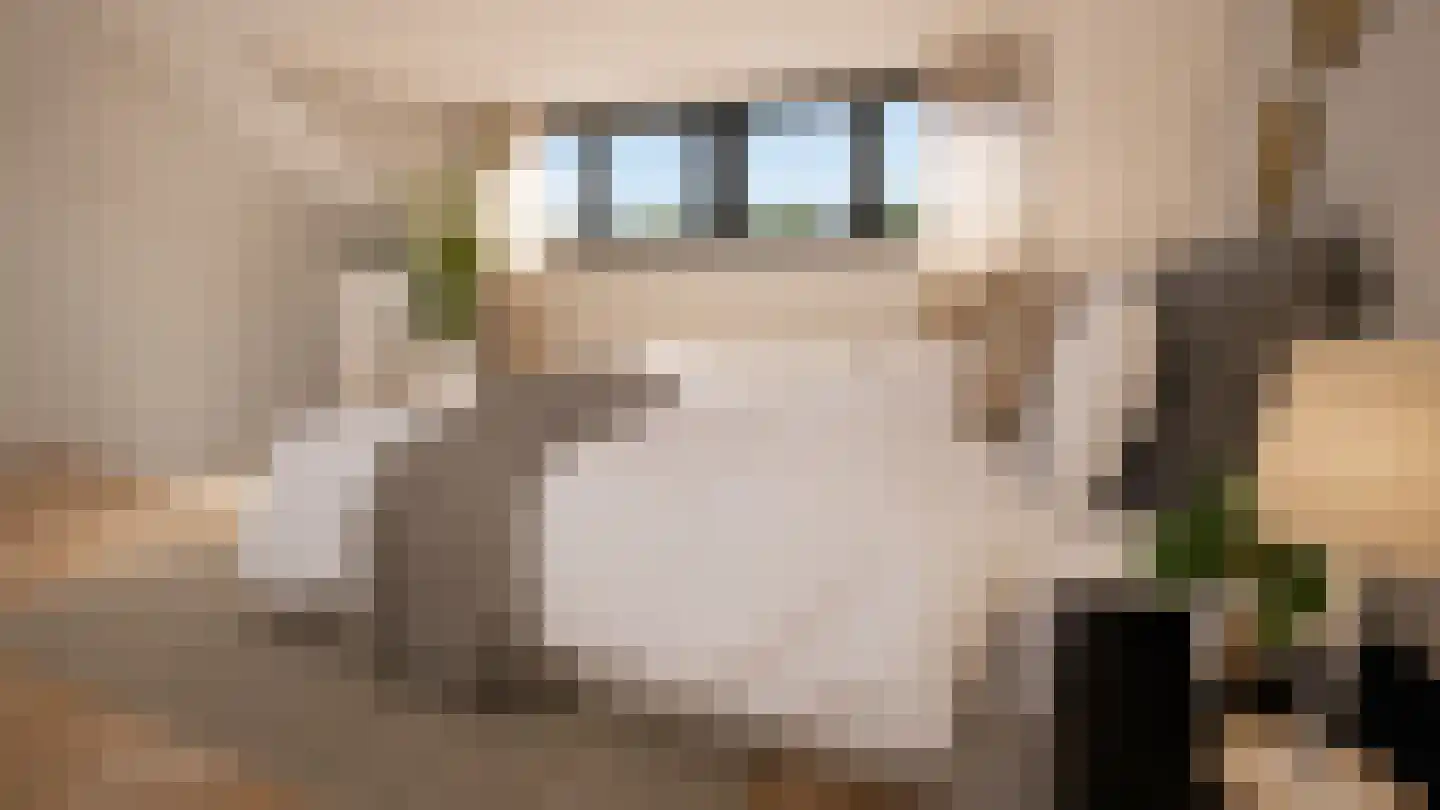 Zonnedauwhof 1 Roermond thumbnail 43