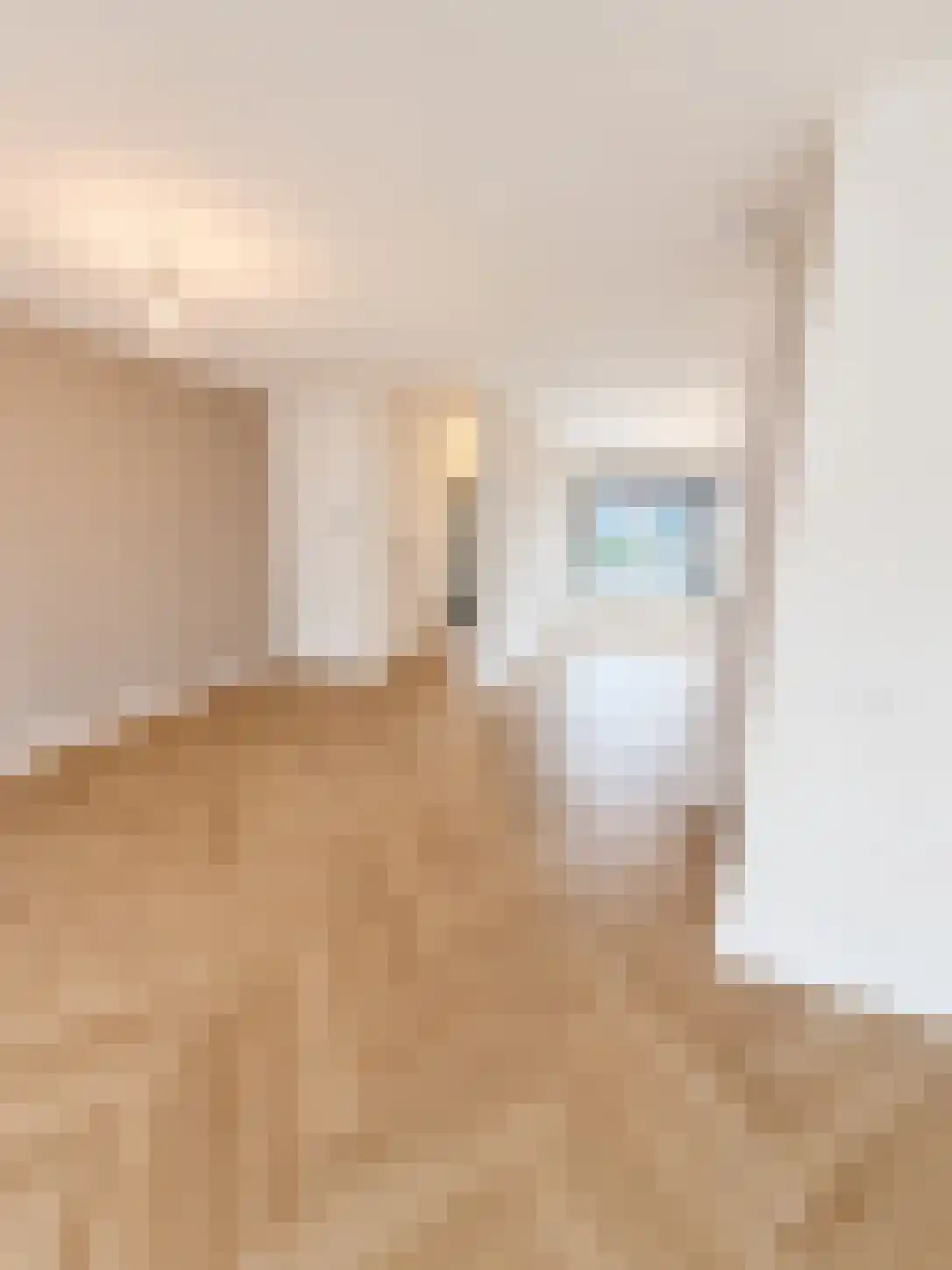 Zonnedauwhof 1 Roermond thumbnail 56