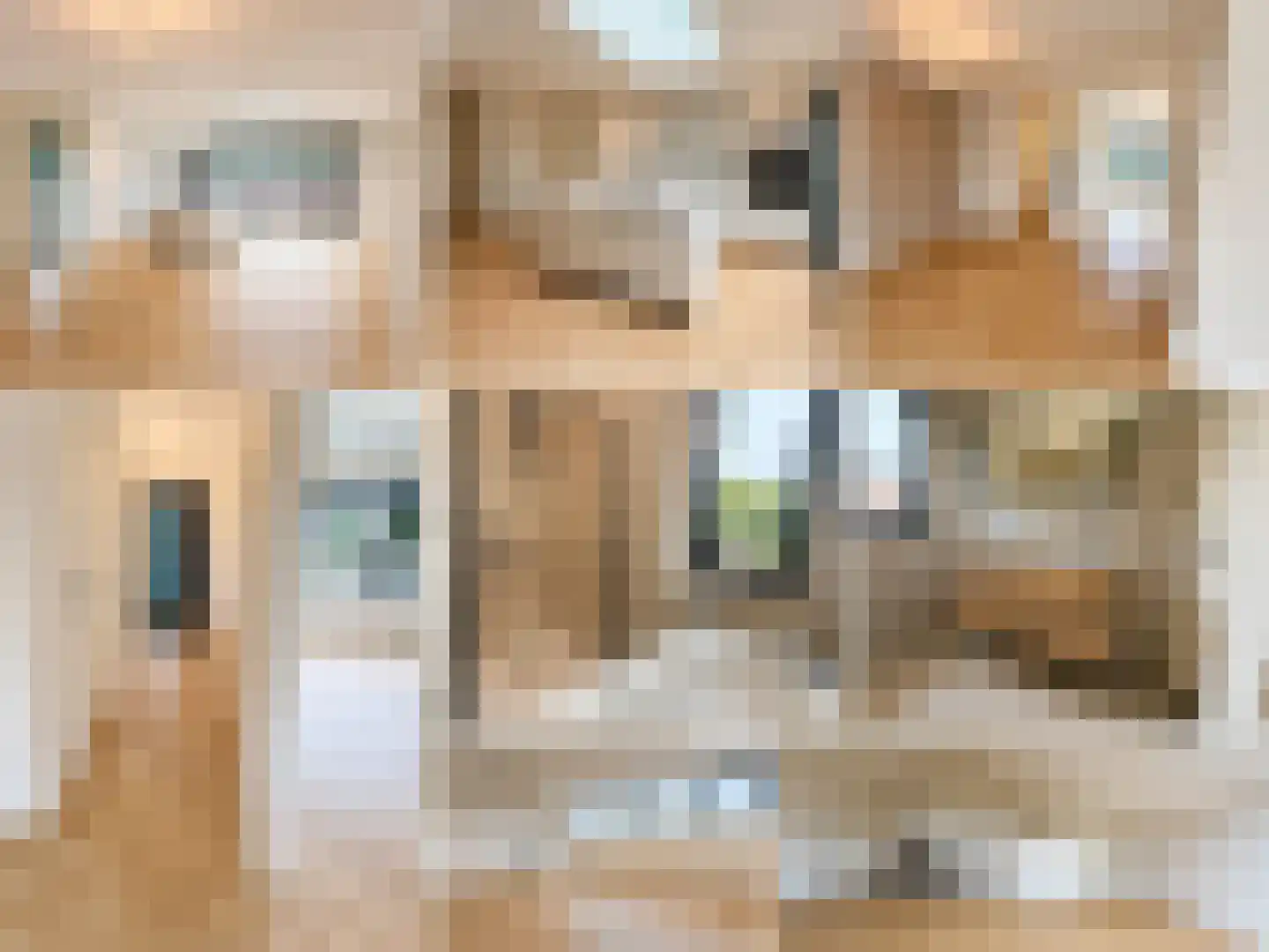 Zonnedauwhof 1 Roermond thumbnail 8