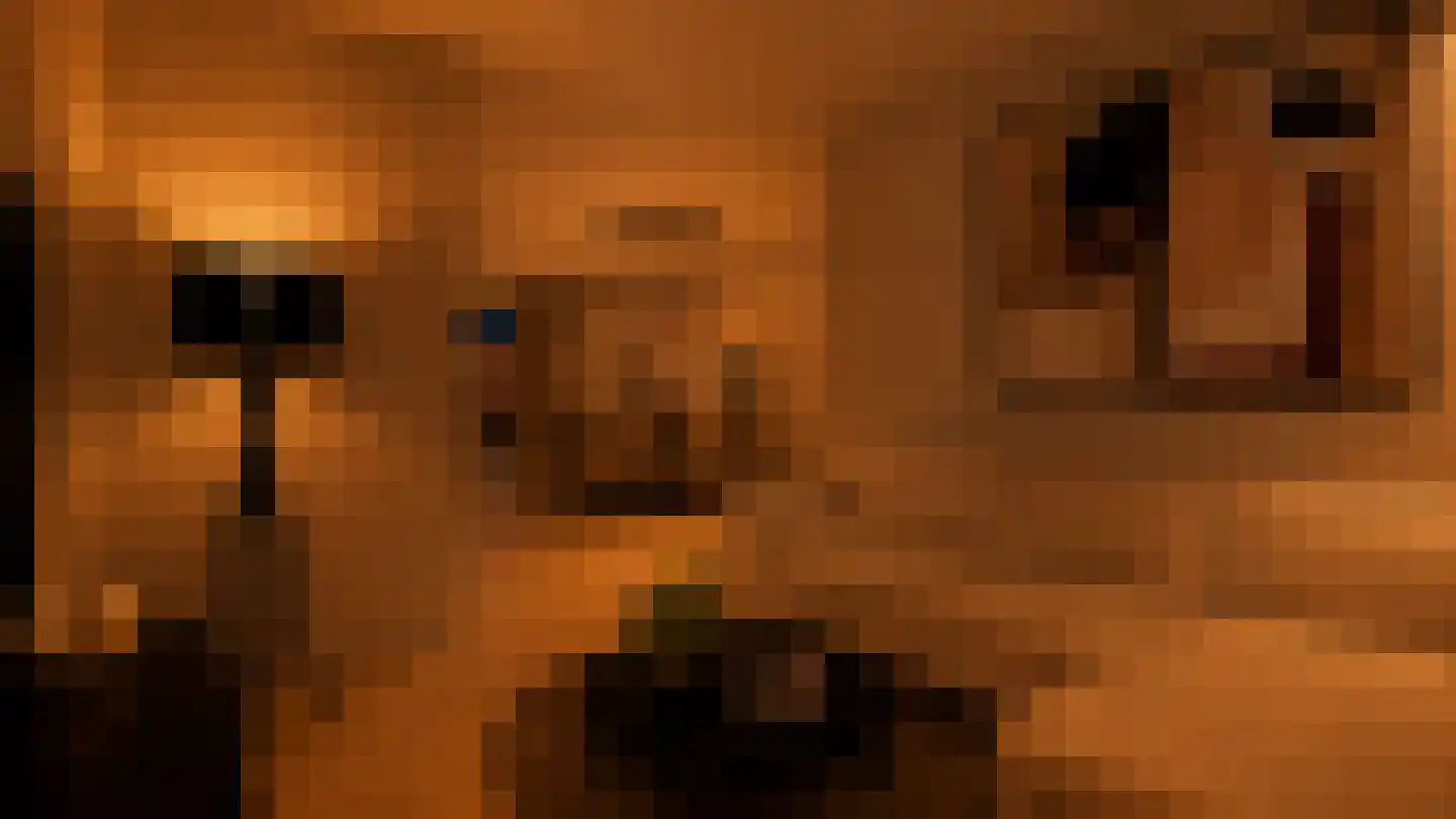 Zonnedauwhof 1 Roermond thumbnail 9