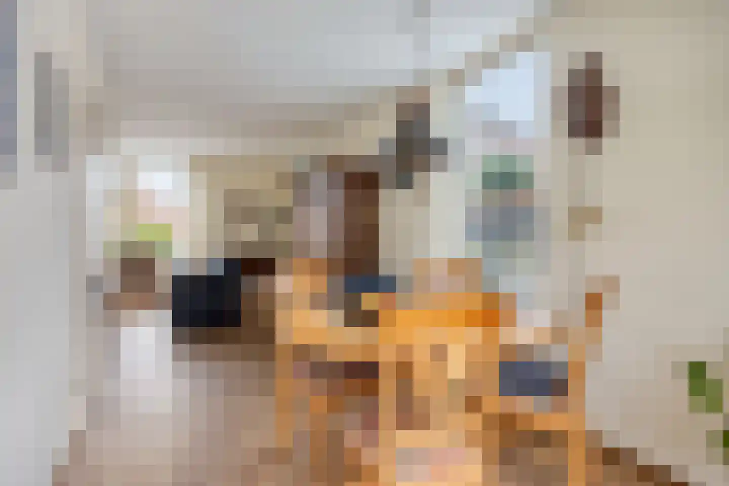 Zonnedauwhof 113 Roermond thumbnail 10