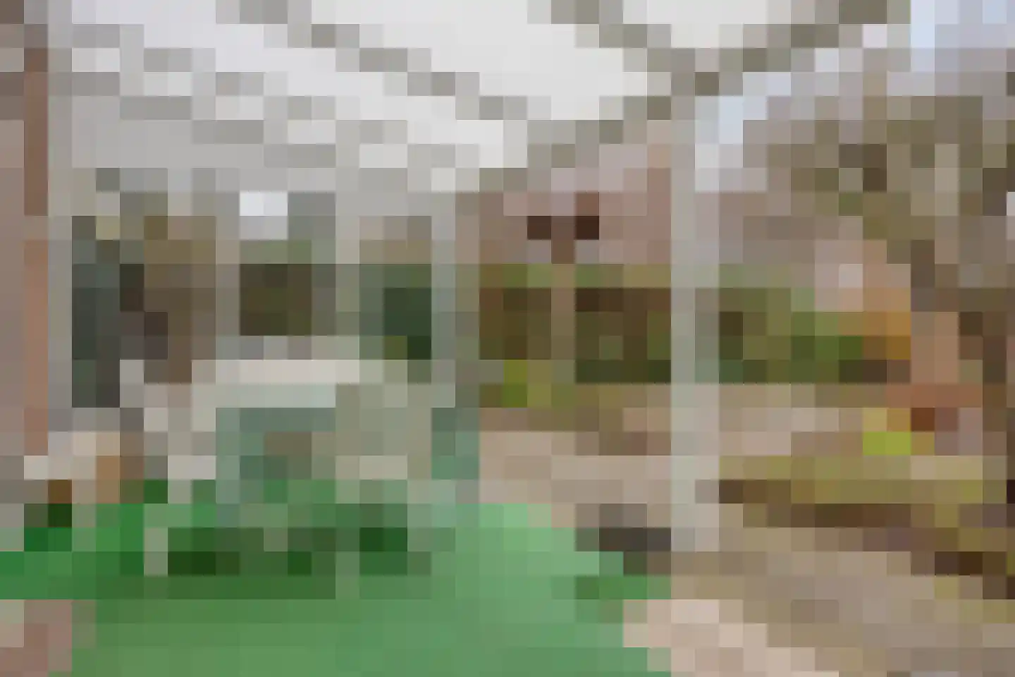 Zonnedauwhof 113 Roermond thumbnail 25