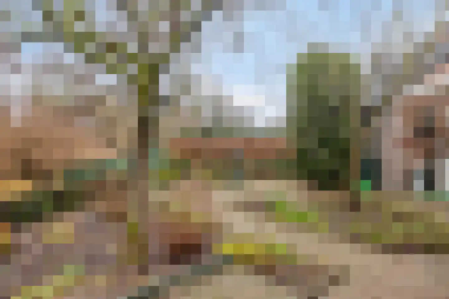 Zonnedauwhof 113 Roermond thumbnail 26