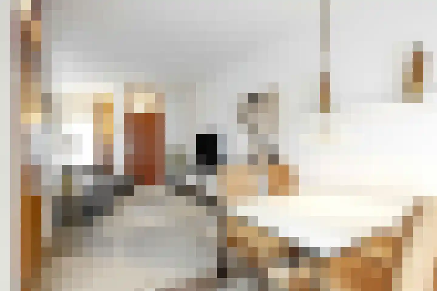 Zonnedauwhof 12 Roermond thumbnail 15