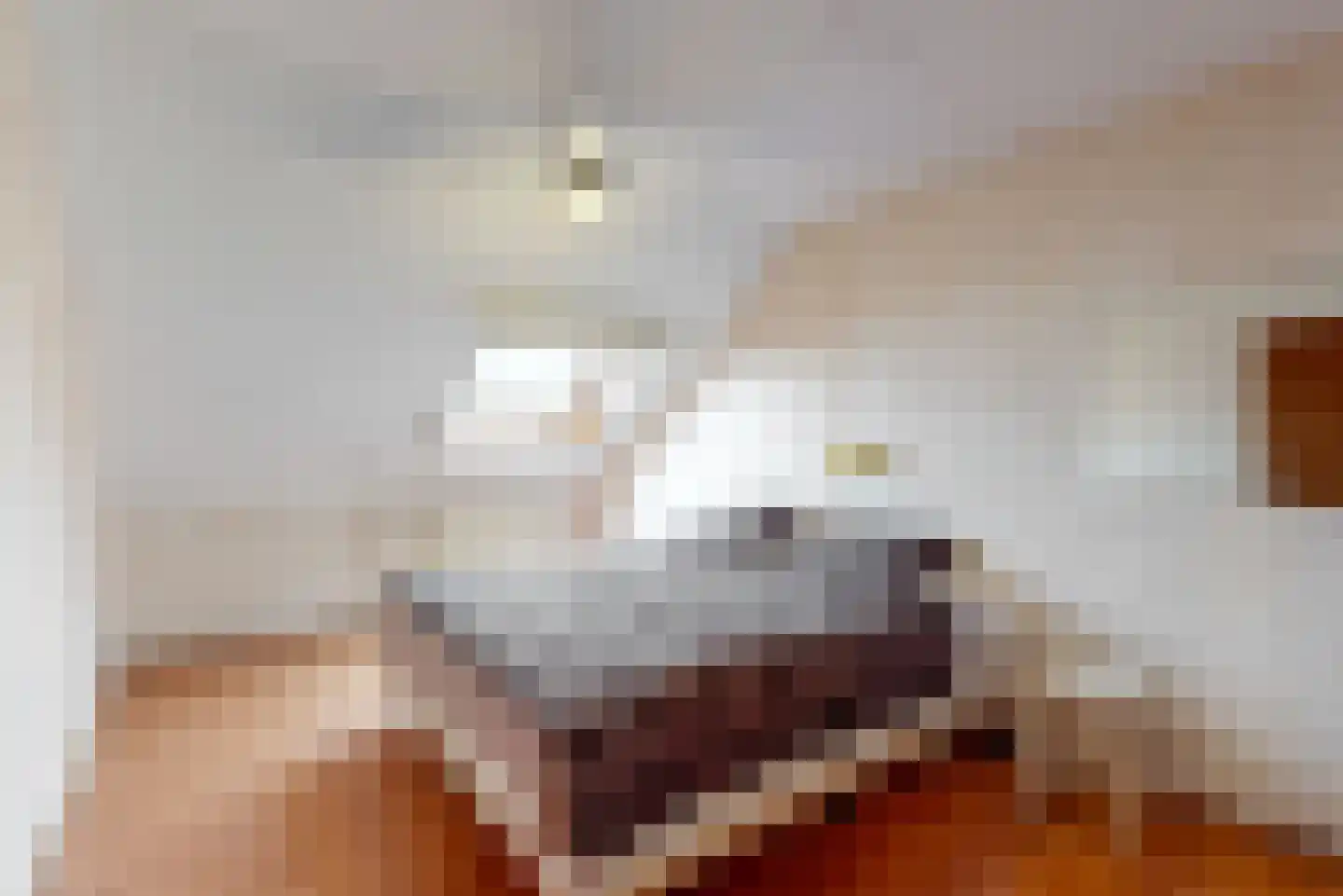 Zonnedauwhof 12 Roermond thumbnail 23