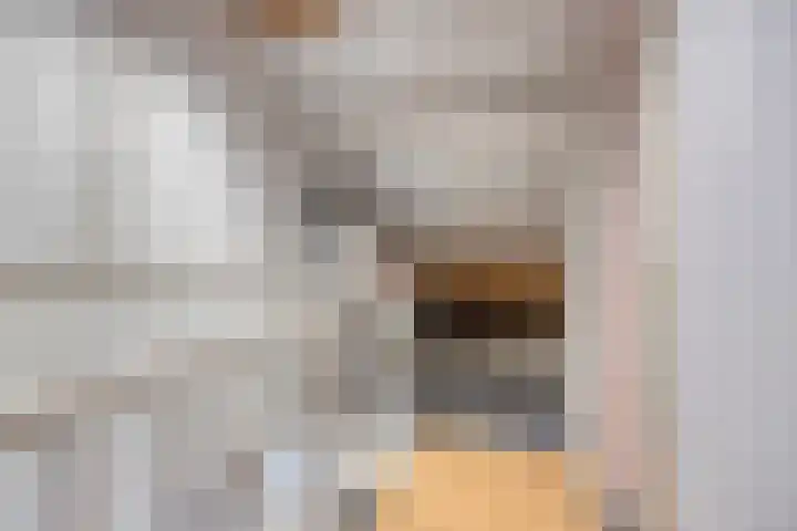 Zonnedauwhof 23 Roermond thumbnail 20