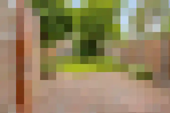 Zonnedauwhof 23 Roermond thumbnail 23