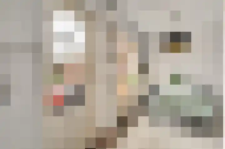Zonnedauwhof 30 Roermond thumbnail 12