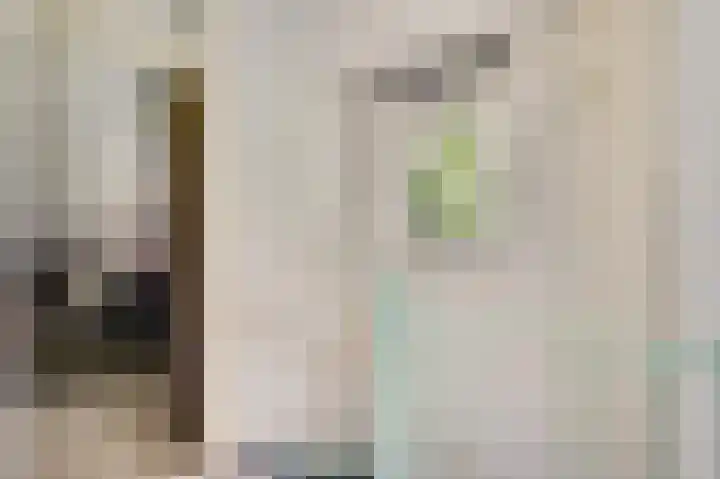Zonnedauwhof 30 Roermond thumbnail 15