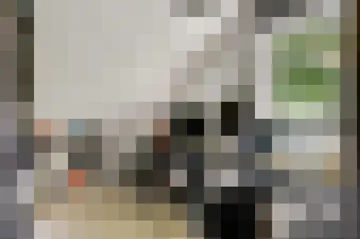 Zonnedauwhof 30 Roermond thumbnail 16