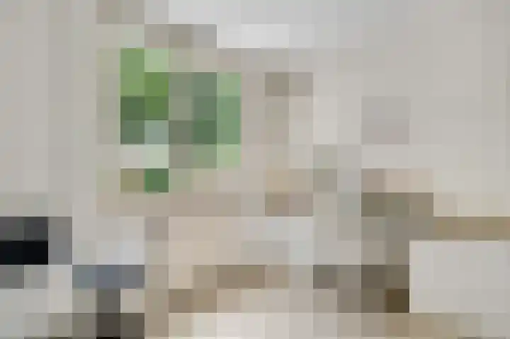 Zonnedauwhof 30 Roermond thumbnail 19