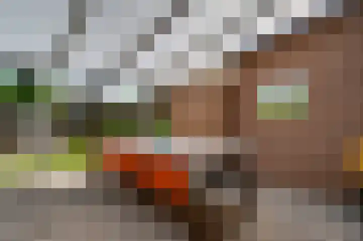 Zonnedauwhof 30 Roermond thumbnail 23