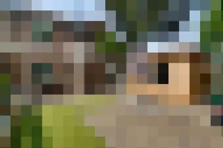 Zonnedauwhof 30 Roermond thumbnail 25