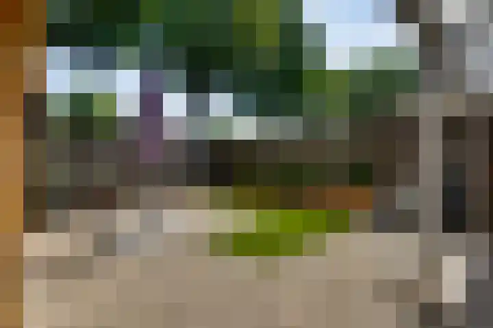 Zonnedauwhof 30 Roermond thumbnail 26