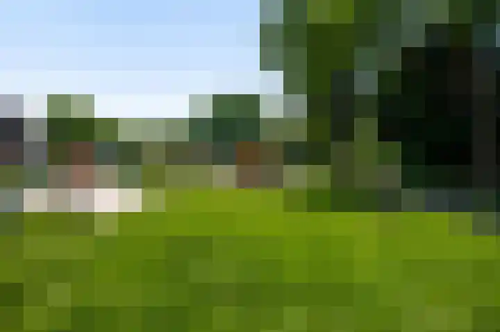 Zonnedauwhof 30 Roermond thumbnail 27