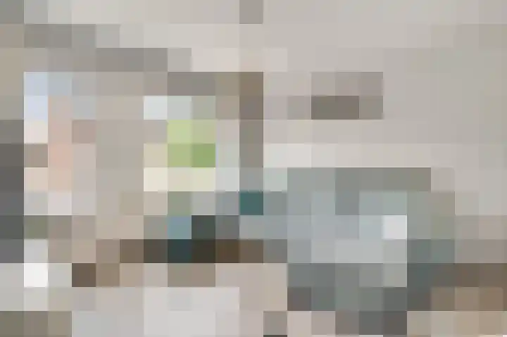 Zonnedauwhof 30 Roermond thumbnail 5
