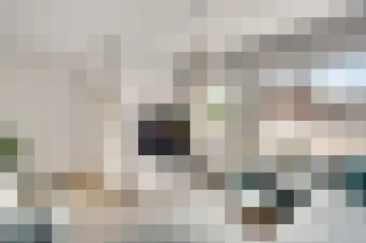 Zonnedauwhof 30 Roermond thumbnail 7