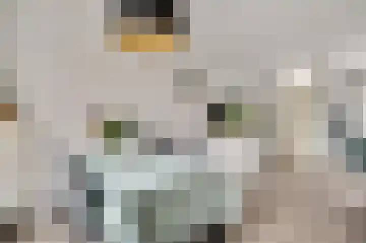Zonnedauwhof 30 Roermond thumbnail 9
