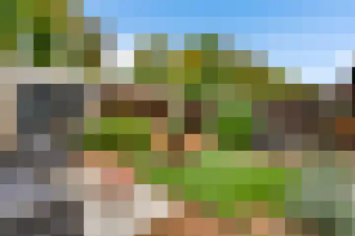 Zonnedauwhof 67 Roermond thumbnail 33