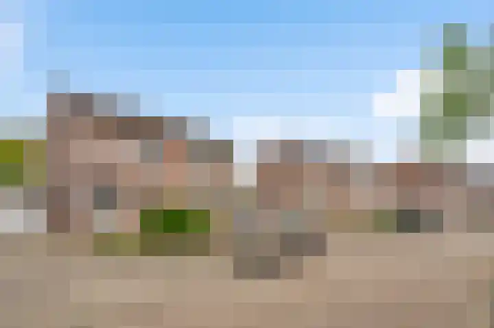 Zonnedauwhof 67 Roermond thumbnail 41