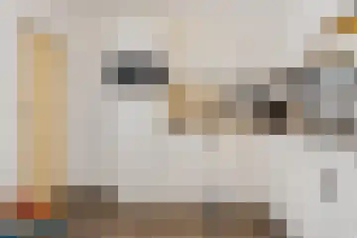 Zonnedauwlaan 13 Stadskanaal thumbnail 10