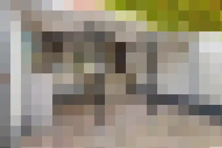 Zonnedauwlaan 13 Stadskanaal thumbnail 22
