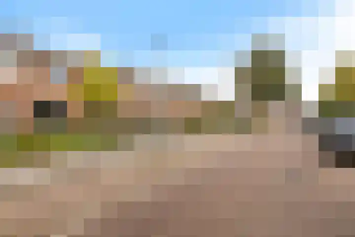 Zonnedauwlaan 13 Stadskanaal thumbnail 24