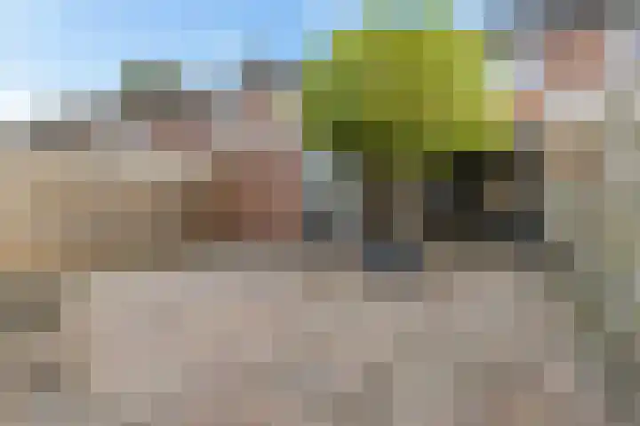 Zonnedauwlaan 13 Stadskanaal thumbnail 4