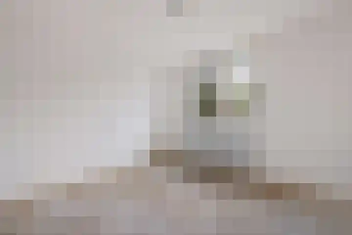 Zonnedauwlaan 15 Stadskanaal thumbnail 11